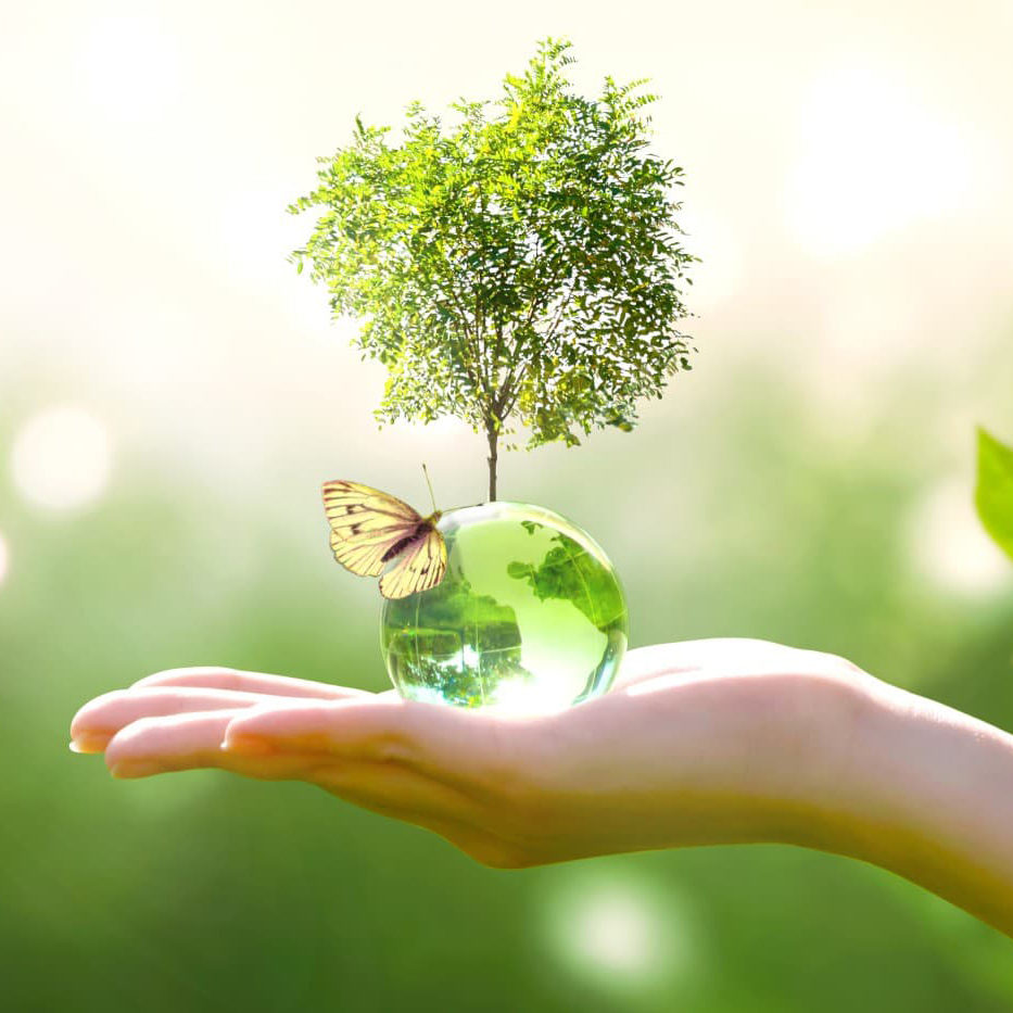 AdobeStock_288819129